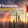 UAE Economic Resilience Drives Record Savings Growth