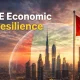 UAE Economic Resilience Drives Record Savings Growth